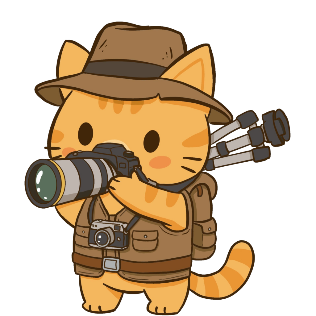 TORA VERSIONE FOTOGRAFO